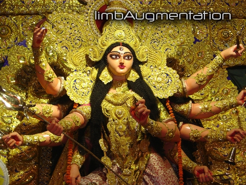 limbAugmentation limbAugmentation